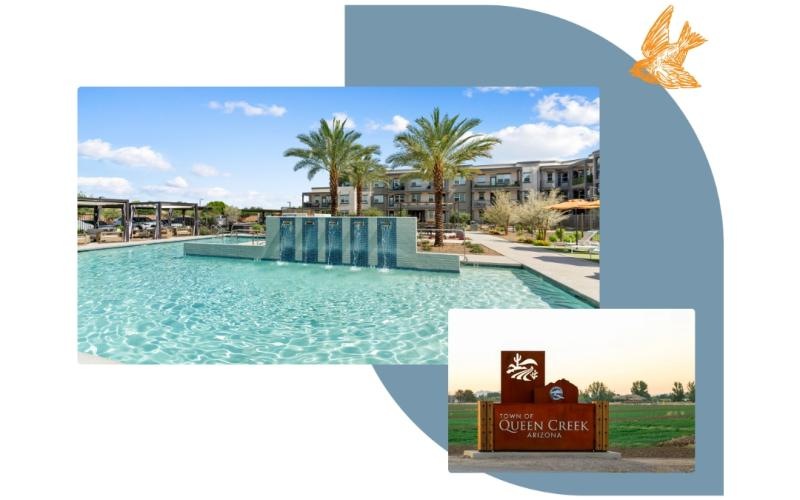 a swimming pool graphic